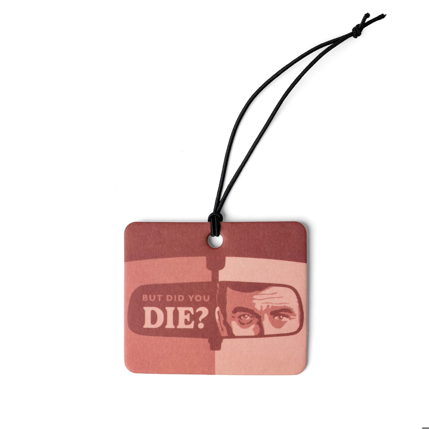 Life in the Fresh Lane Air Fresheners