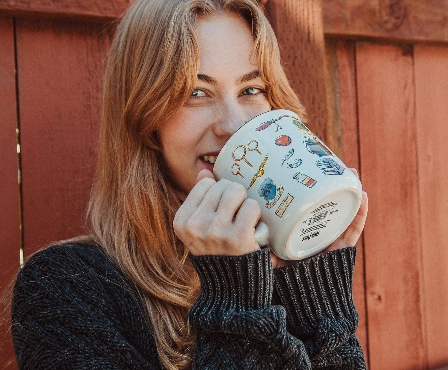 Harry Potter Hogwarts All Over Icons Destination 20oz Mug