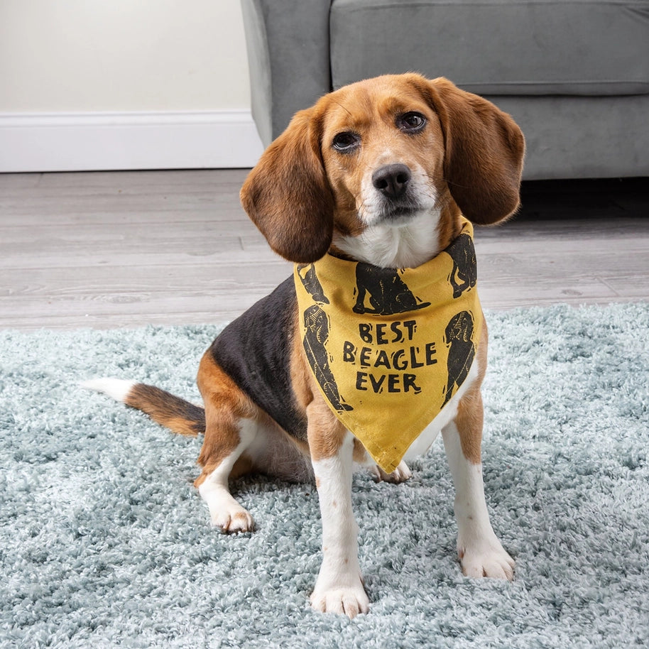 Beagle/Love My Human Large Pet Bandana