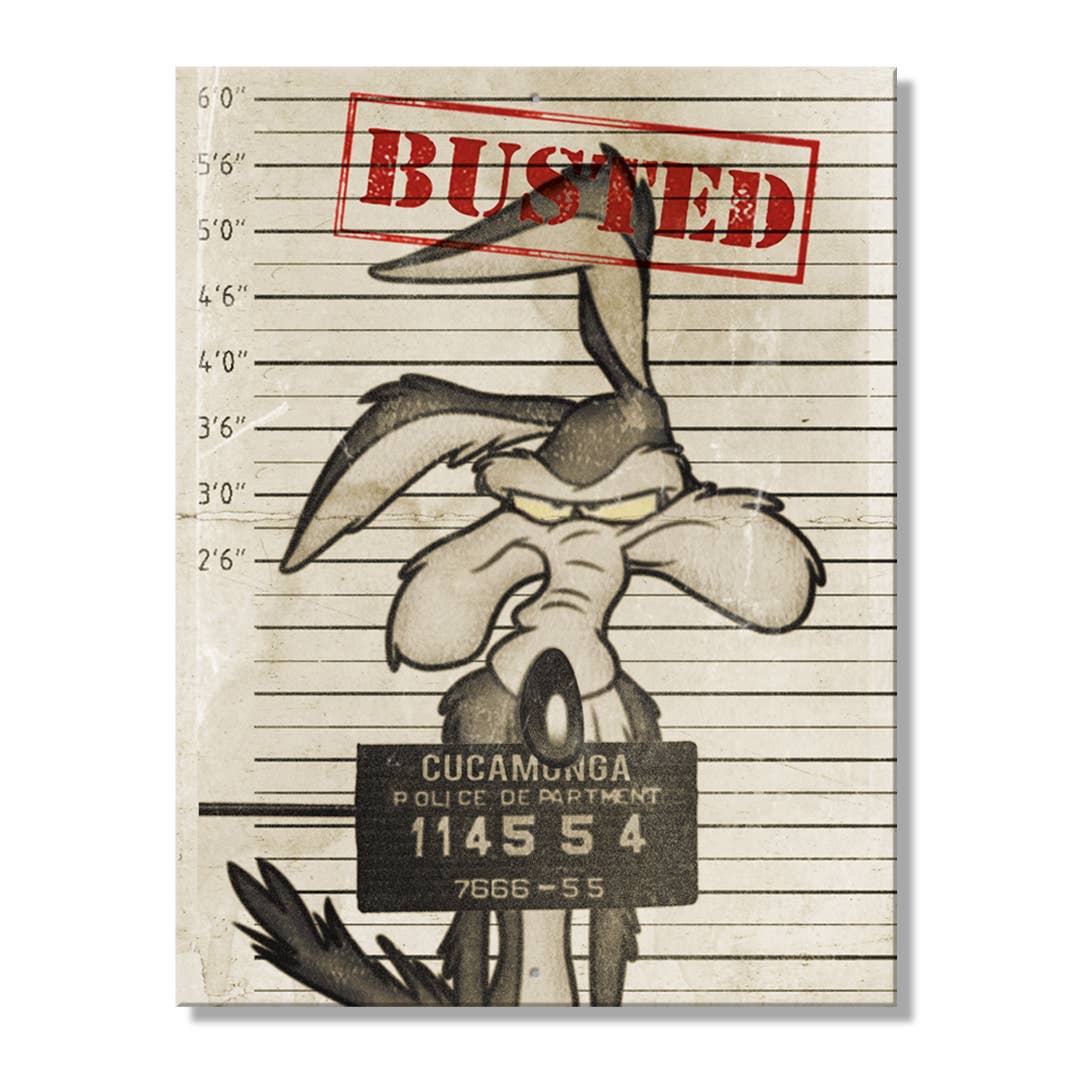Looney Tunes Busted Tin Sign