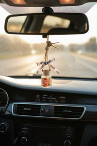 Hanging In There Scent Diffuser