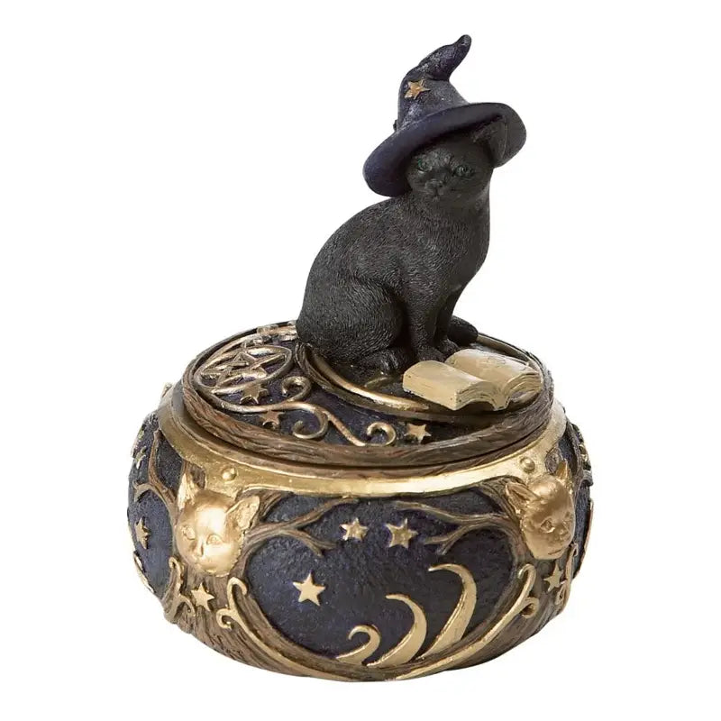 Magical Cat Box