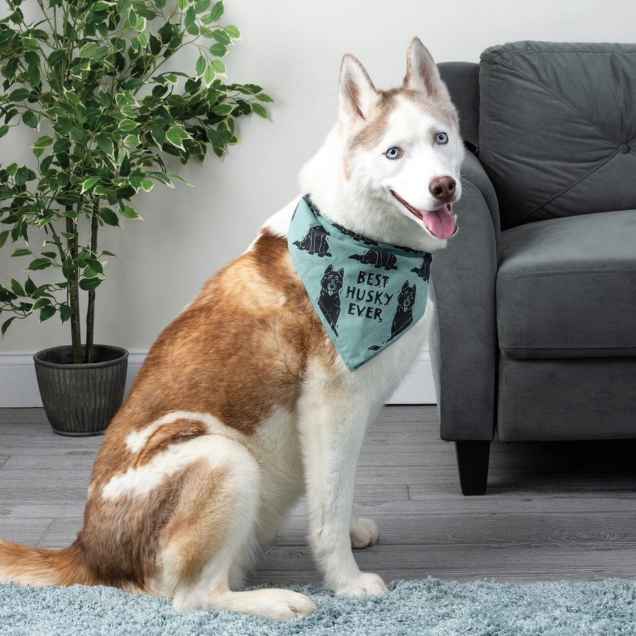 Husky/Love My Human Large Pet Bandana