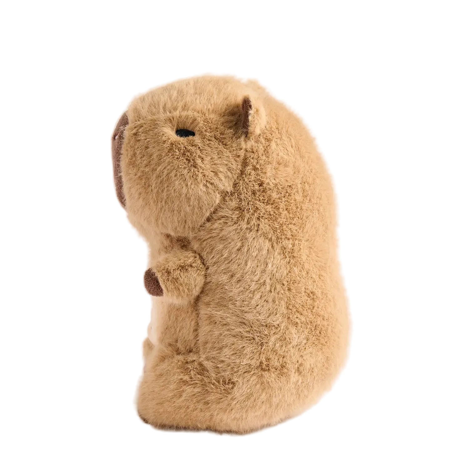 Barry the Capybara Tooth Fairy