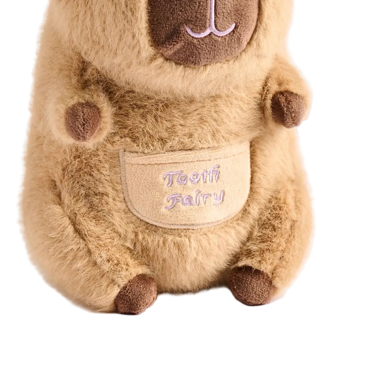 Barry the Capybara Tooth Fairy