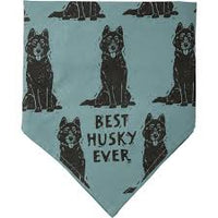 Husky/Love My Human Pet Bandana - L