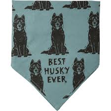 Husky/Love My Human Pet Bandana - L