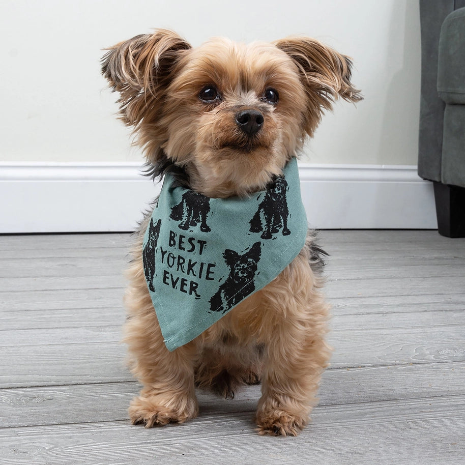 Yorkie/Love My Human Small Pet Bandana