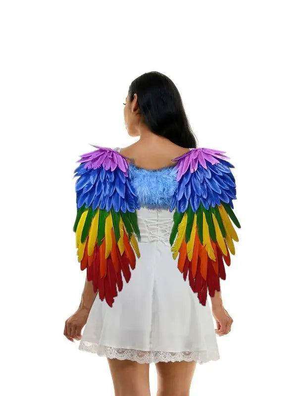 Rainbow Feather Angel Wings