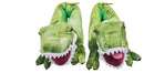 Dinosaur Slippers