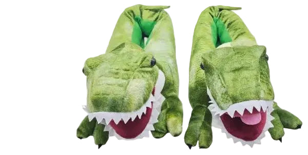 Dinosaur Slippers