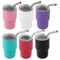 Mini Tumbler with Stainless Steel Straw