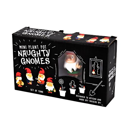 Naughty Gnomes